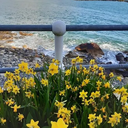 Corvus - Beautiful Cottage Half A Mile From Mousehole Penzance Exterior photo