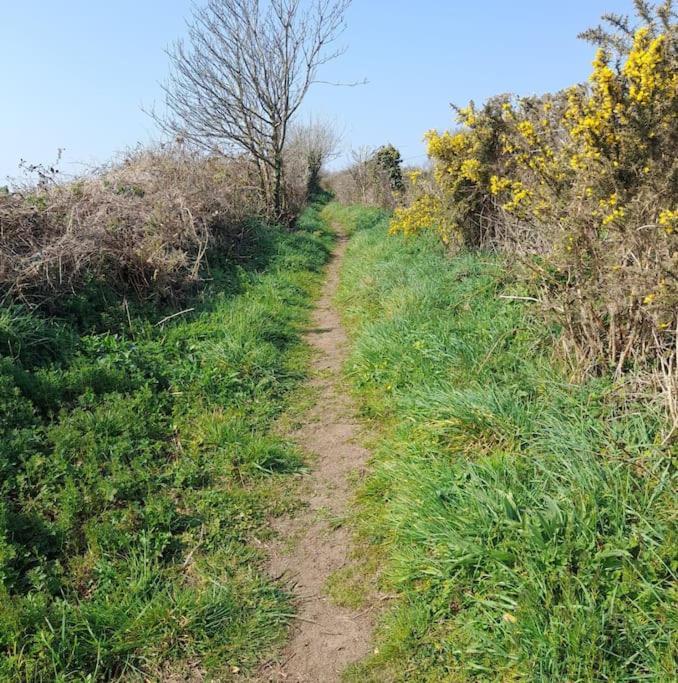 Corvus - Beautiful Half A Mile From Mousehole *