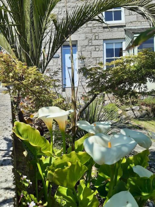 Corvus - Beautiful Half A Mile From Mousehole Holiday home