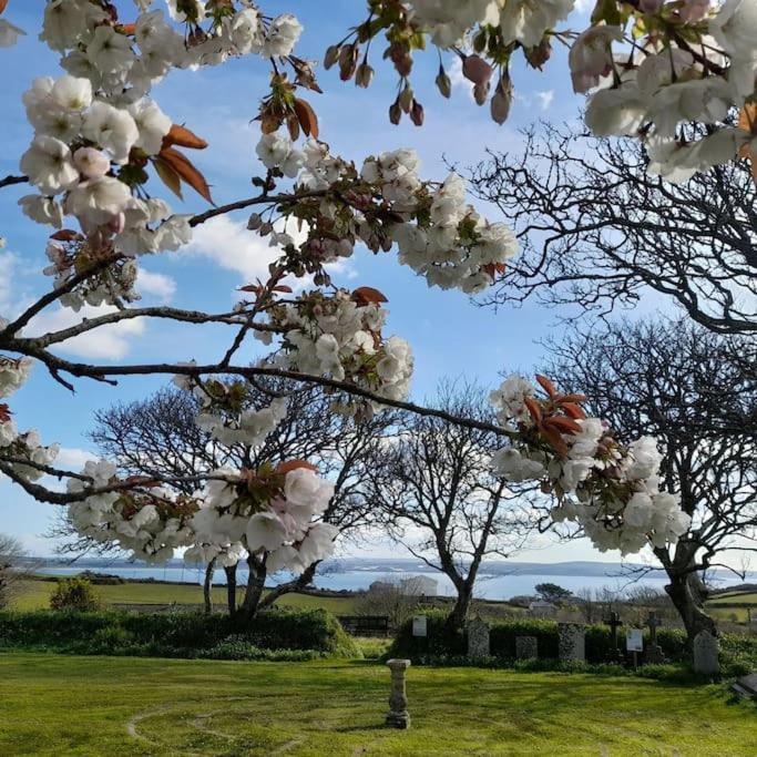 Corvus - Beautiful Half A Mile From Mousehole Holiday home