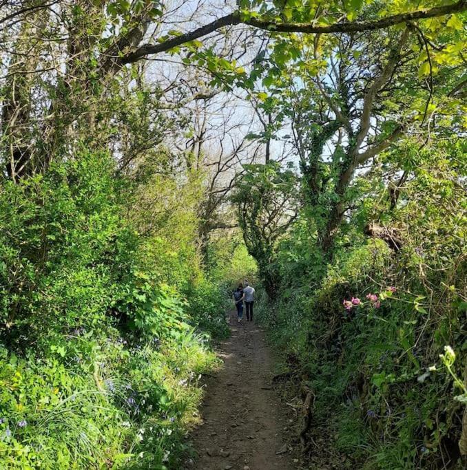Corvus - Beautiful Half A Mile From Mousehole