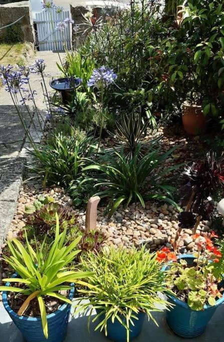 Holiday home Corvus - Beautiful Half A Mile From Mousehole *