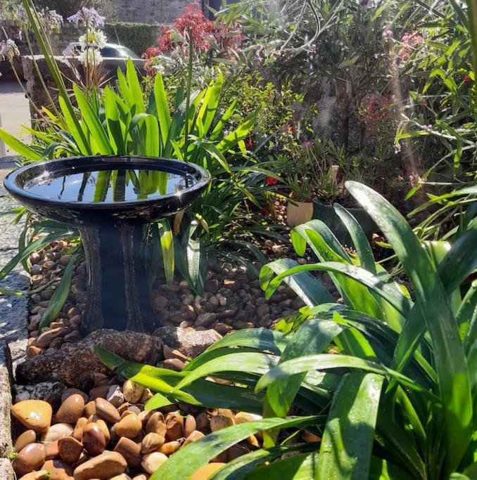 Holiday home Corvus - Beautiful Half A Mile From Mousehole